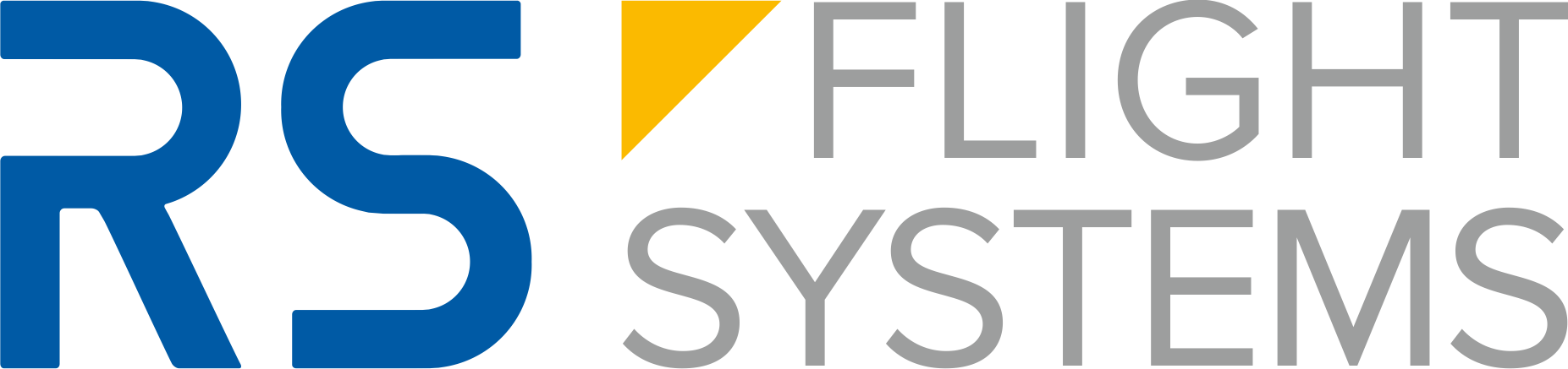Logo RSFS