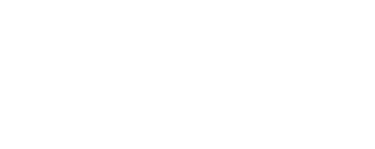 REISER-Logo-S+T-RGB-neg Reiser Simulation and Training GmbH - Logo